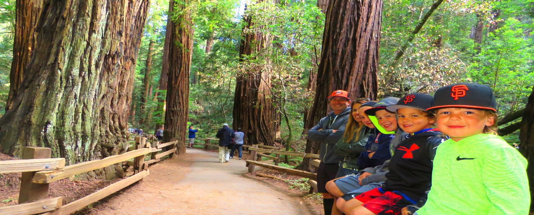 Muir Woods  Park Giant Redwood Trees  Private Custom Tour from San Francisco